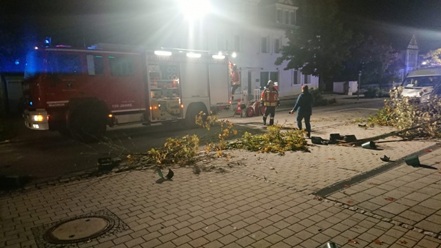 DSC_0000_BURST20190928035334410 bearbeitet groß.jpg